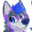 blufoxdog's Avatar